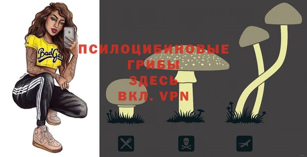 apvp Бронницы