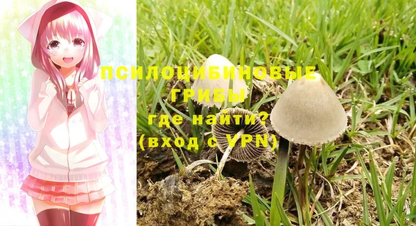 метадон Бородино