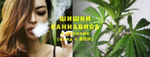 метадон Бородино